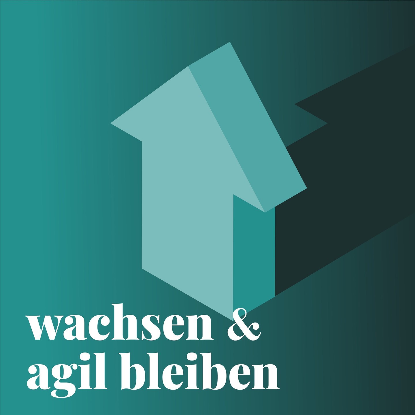 Wie bleibt ein Unternehmen agil im Wachstum?⁠